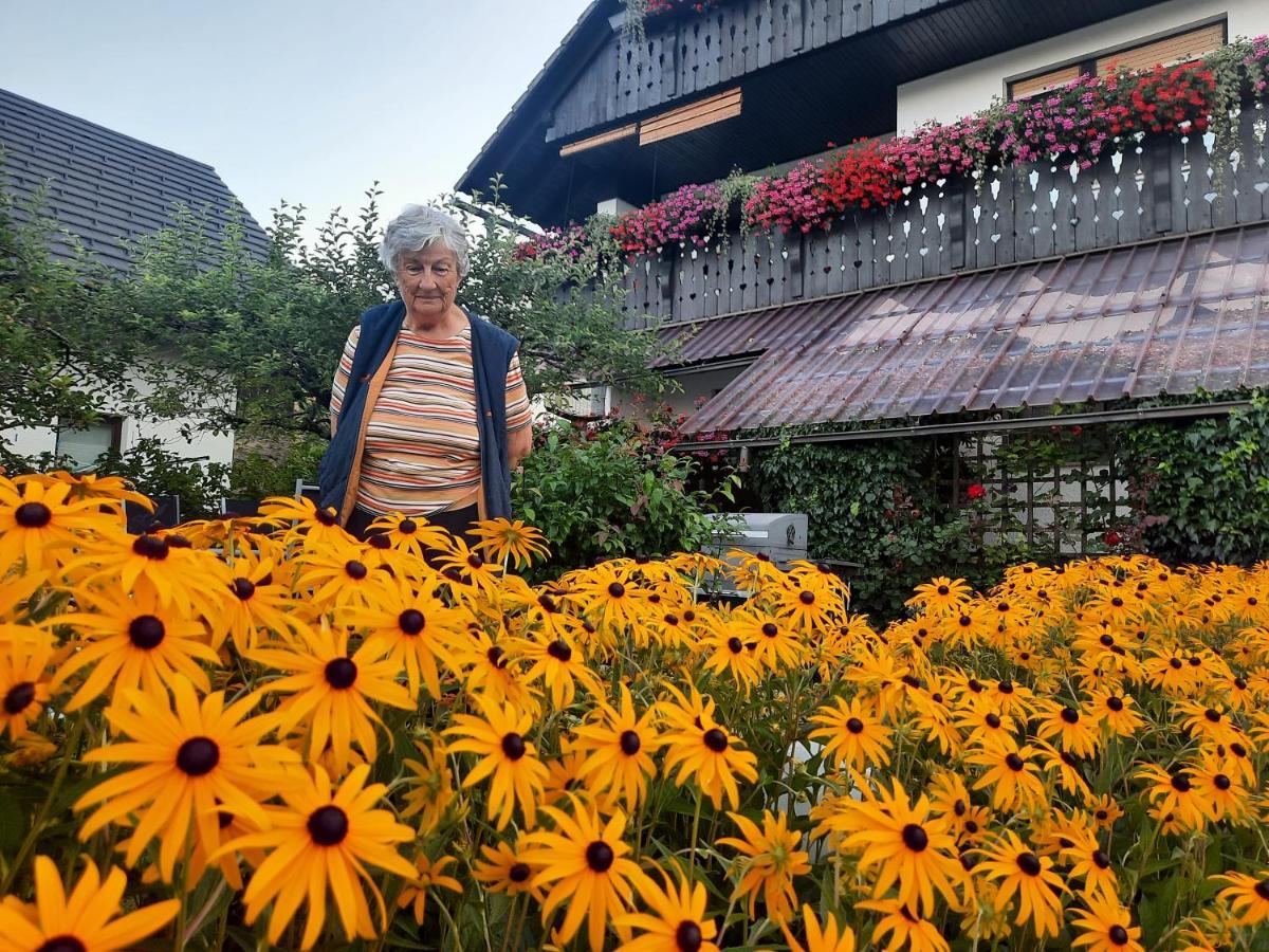 Snezak Apartment Bohinj Luaran gambar