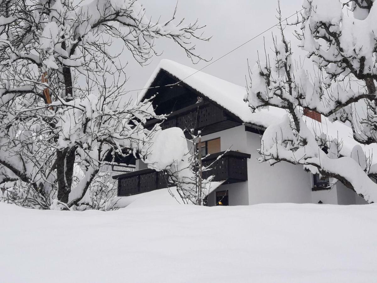 Snezak Apartment Bohinj Luaran gambar