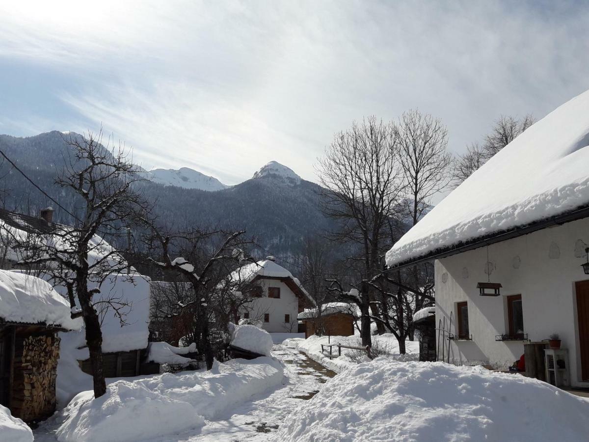 Snezak Apartment Bohinj Luaran gambar