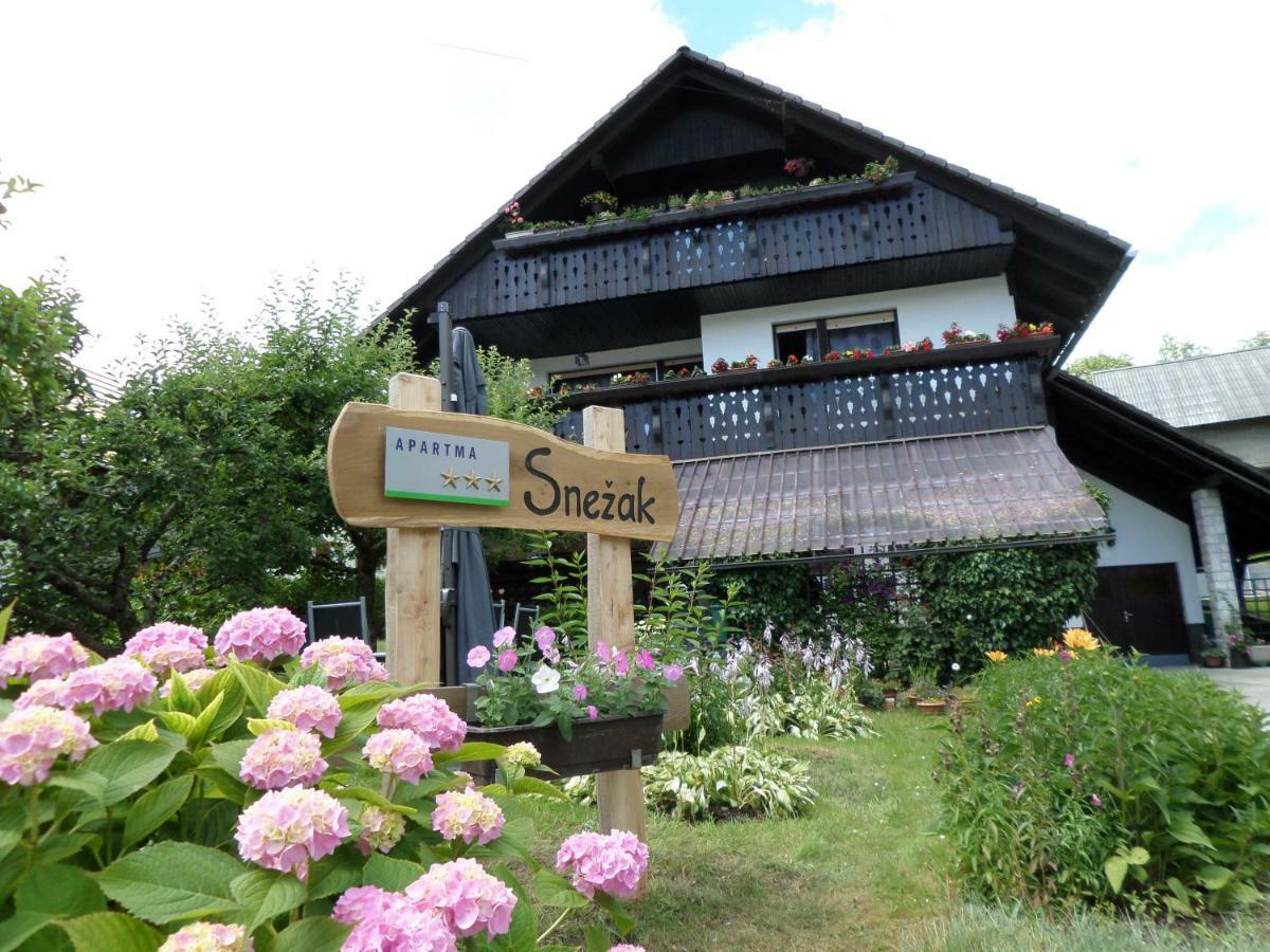 Snezak Apartment Bohinj Luaran gambar
