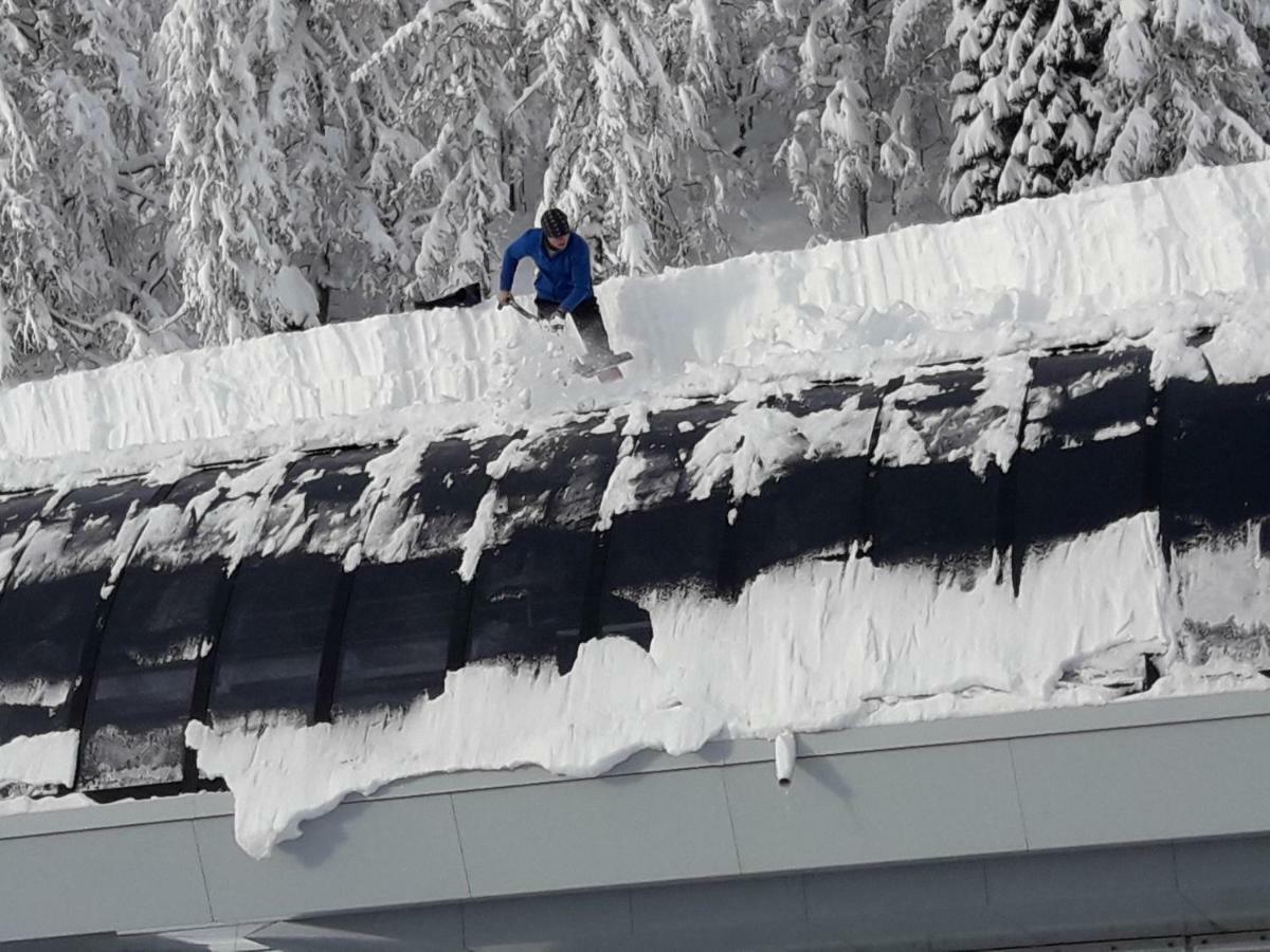 Snezak Apartment Bohinj Luaran gambar