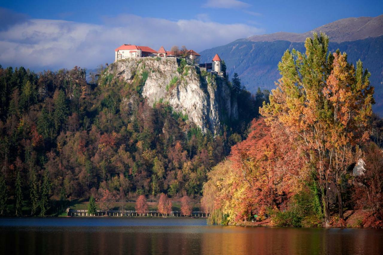 Snezak Apartment Bohinj Luaran gambar